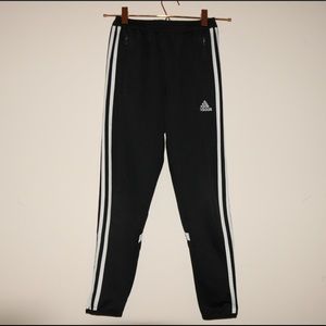 Climacool Adidas pants